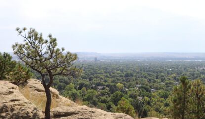 Billings MT